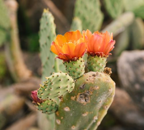 A young boy in a black and white shirt looks sad as his parents argue in the background.