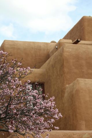 Beautiful Pueblo Revival architecture in New Mexico adorned by blooming pink flowers, capturing the essence of spring.